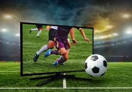 圣地亚哥教士在 2023 年底交易走胡安·索托，旨在优化球队薪资结构